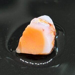 Colorful Two Tone Single Mexican Fire Opal Rough Stone